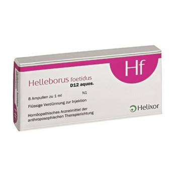 HELLEBORUS FOETIDUS aquos. D 12 Ampullen