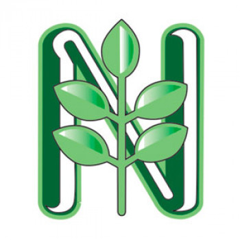 GELSEMIUM KOMPLEX North Inj.Ampullen